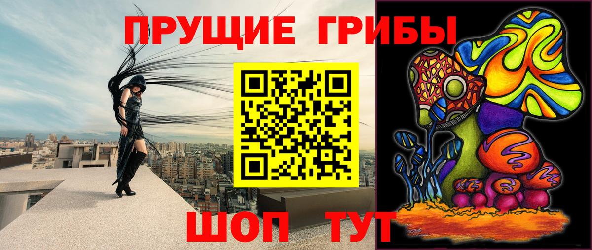 Псилоцибиновые грибы Psilocybine cubensis  Вход с VPN  Зима 